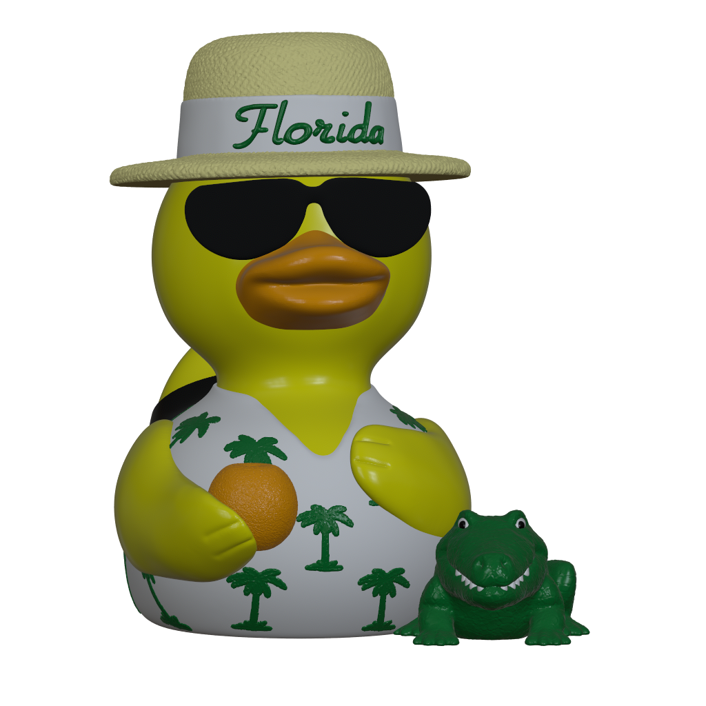 Florida Duck